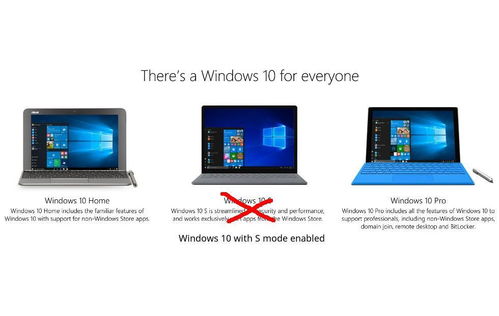 出師未捷身先死 windows 10 s
